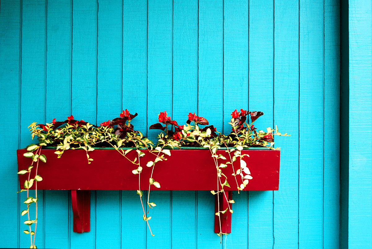 Flower Box in Yellow Springs, Ohio - photographed by Justin Winget
