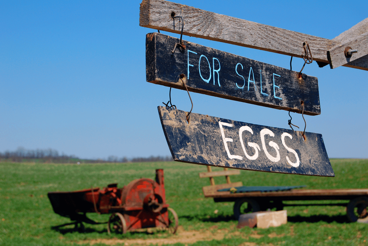 Eggs for sale at an Amish Farm in Wayne County, Ohio - photographed by Justin Winget